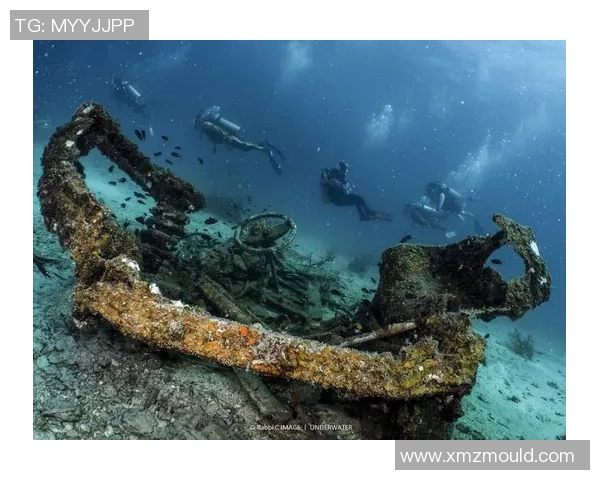 加莱诺的艺术魅力与文化影响力探讨:从历史到现代的深度解读 加莱诺的艺术魅力与文化影响力探讨:从历史到现代的深度解读